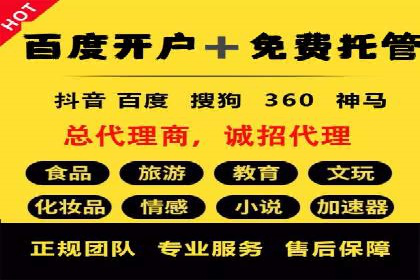 某旅游网站SEM优化案例：如何吸引目标用户
